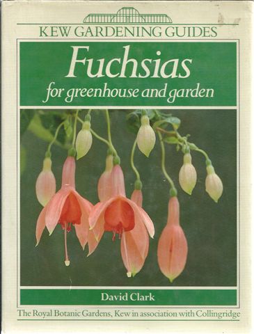 FUCSIAS