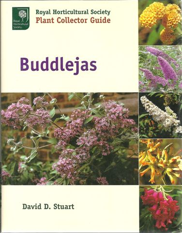 BUDDLEJAS