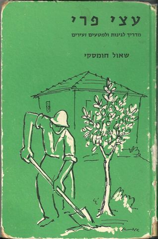 עצי פרי