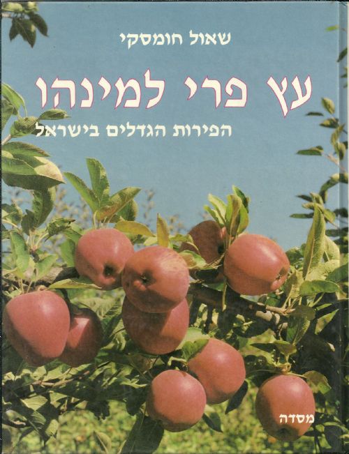 עץ פרי למינהו