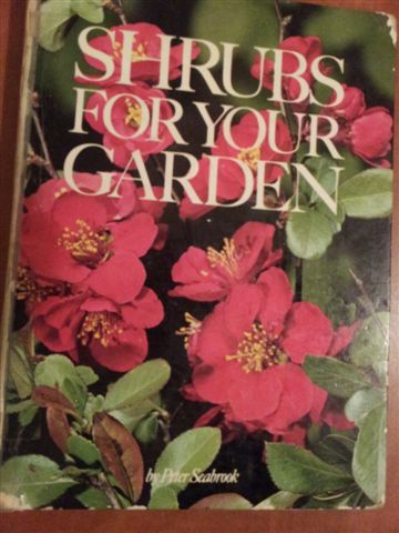 SHRUBS FOR YOUR GARDEN