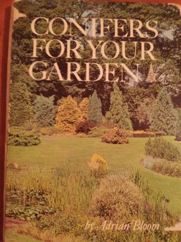 CONIFERS FOR YOUR GARDEN
