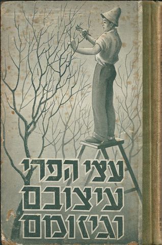 עצי הפרי עיצובם וגיזומם
