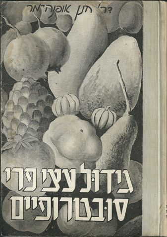 גידול עצי פרי סובטרופיים