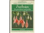 FUCSIAS