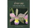 קסם הסחלב