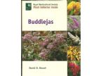 BUDDLEJAS