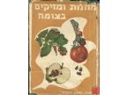מחלות ומזיקים בצומח
