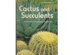 CACTUS AND SUCCULENTS