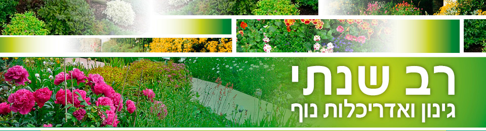 רב-שנתי